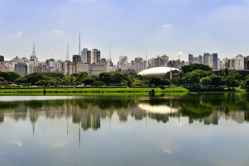 Private Tour: São Paulo City Tour