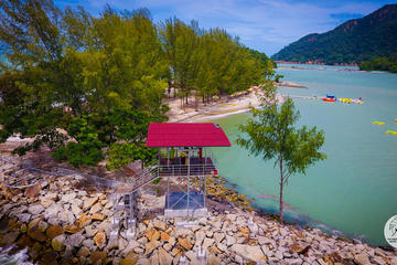 Paradise 101 Day Pass