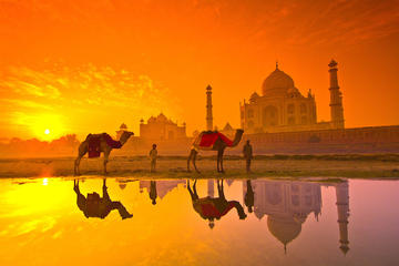 Taj Mahal with local guide full day tour agra