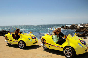 Day Trip 1-Hour Monterey and Cannery Row Sea Car Tour near Monterey, California 