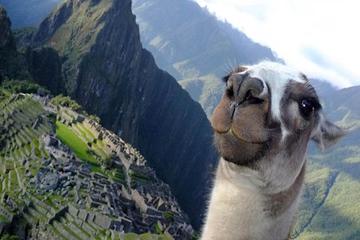 8-Day Lima and Cusco Private Tour - All inclusive
