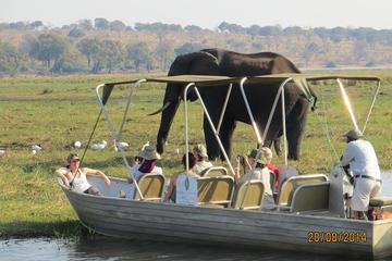 Chobe Day Trip From Victoria Falls