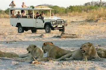 Chobe National Park Camping Safari from Kasane