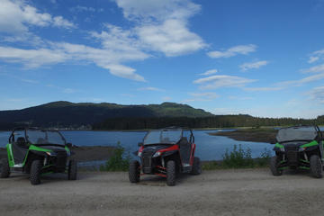 Arctic Cat Rental and Self Guided Tour of Chichagof Island