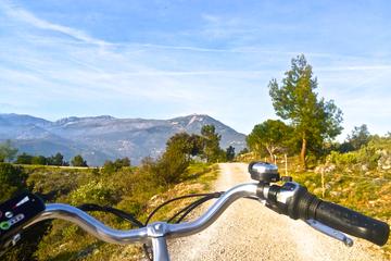 French Riviera Landscapes E-Bike Tour from Nice