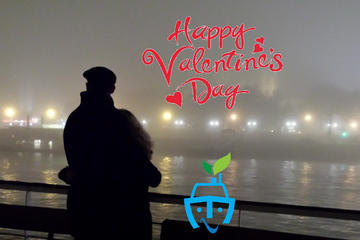 70 minutes romantic boat cruise on Valentine's day in Budapest