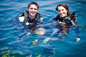 Full-Day Diving for Beginners at Coiba National Park