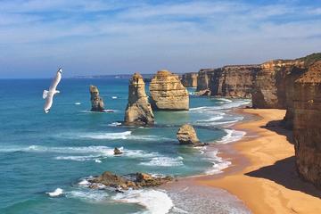 Private Great Ocean Road and 12 Apostles Express Tour from Melbourne