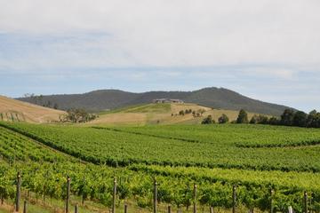 Private Tour to Mount Dandenong and Yarra Valley