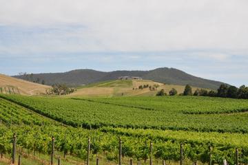 Private Yarra Valley Day Trip from Melbourne