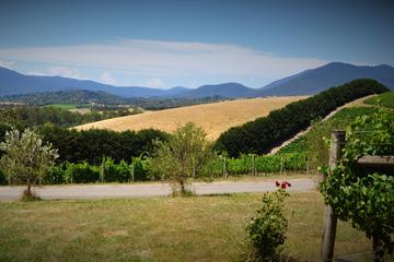 Romantic Private Yarra Valley Day Trip for Two from Melbourne
