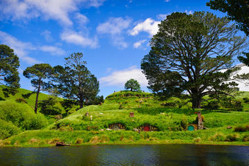 Full-Day Hobbiton and Rotorua Tour from Auckland