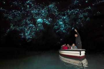 Rotorua to Auckland Transfer with Waitomo Glowworms