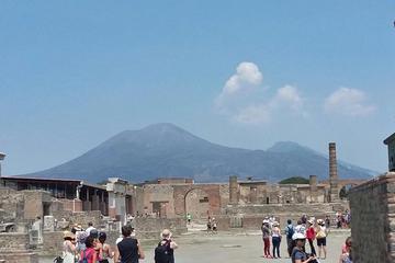 Skip-the-Line Pompeii Express Tour by Train from Sorrento