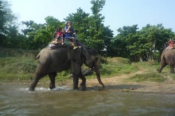 Chitwan Jungle Safari Tour
