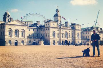 Half-Day Private London Walking Tour