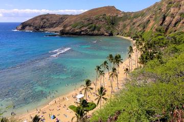 Full-day Circle Island Tour on Oahu