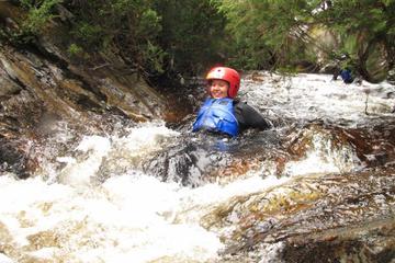 Half Day Cradle Mountain Canyoning: Lost World Canyon