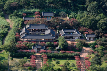 Andong Cultural Day Trip from Seoul