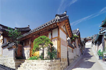 Full Day Tour of World Cultural Heritage from Seoul