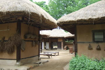 Royal Palace and Folk Village: Full Day Guided Tour from Seoul