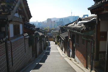 Royal Palace and North Side of Seoul with Gwangjang Market