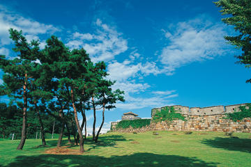 Suwon Hwaseong Fortress Half-Day Small-Group Tour from Seoul