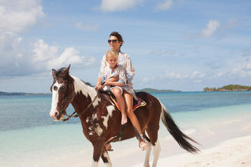 Punta Cana Horseback Tour to Macao Beach