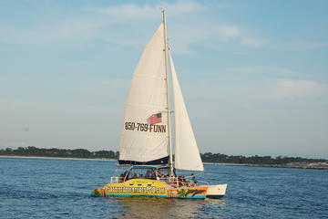 Catamaran Snorkel And Dolphin Watch Tour Triphobo Catamaran Snorkel And Dolphin Watch Tour Panama City Beach