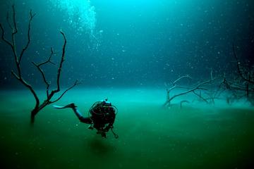 Angelita and Casa Cenotes Diving Tour from Playa del Carmen