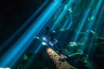 Diving Tour in Dos Ojos and Bat Cenote
