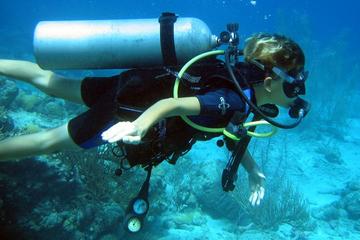 PADI 3-Day Open Water Diver Course in Playa del Carmen