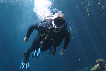 PADI Open Water Referral Dive Course in Playa Del Carmen