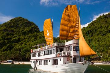 2-Day, 1-Night Halong Bay Discovery Cruise from Hanoi