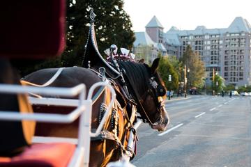 60-Minute Deluxe Horse-Drawn Carriage Tour