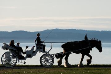 75-Minute Grand Horse-Drawn Carriage Tour