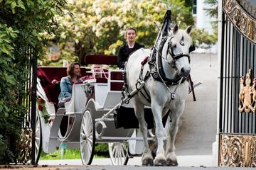 90-Minute Premier Horse-Drawn Carriage Tour