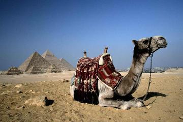 Cairo 1 Day Tour by Plane from Sharm El Sheikh
