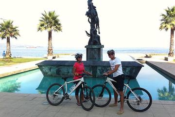 Full-Day Private Bike Tour of Concon Viña del Mar and Valparaiso from Santiago