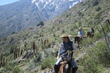 Horse Riding Tour in the Andes Foothills with Picnic