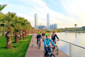 Panoramic Santiago Bike Tour