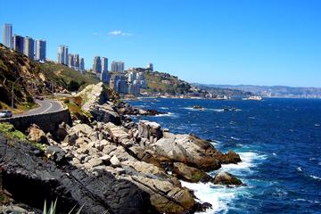 Private Day Tour to Concon, Vina del Mar, and Valparaiso Including Small-Group Surfing Lesson