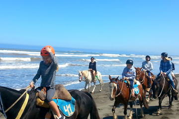 Viña del Mar and Valparaiso Private Tour Including Horseriding