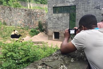 All-Inclusive Chengdu Private Tour of Panda Base and Optional Sightseeing