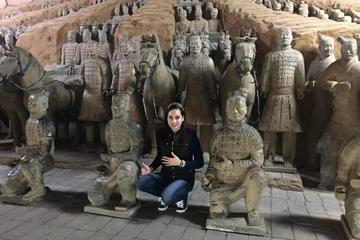 All-inclusive Private Tour: Customizable Xian Highlights in One Day