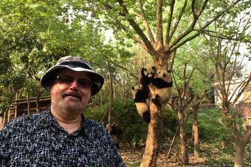 Chengdu Private Day Tour: Giant Panda Base and Qingcheng Mountain