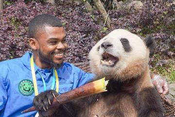 Panda Holding Experience and Dujiangyan Irrigation System In Chengdu