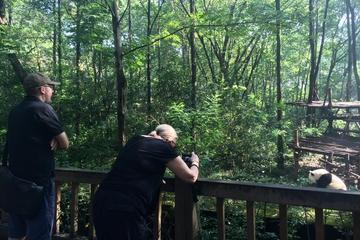 Private Day Tour: Visit Giant Pandas and Discover Shu Culture in Chengdu
