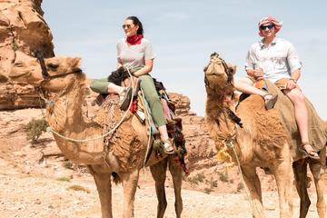 Exclusive Camel Trek and Back Hike Entrance to Petra, Jordan