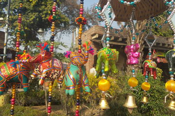 Colorful Old Delhi Walking Tour